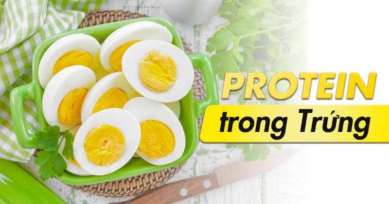 Trứng giàu protein